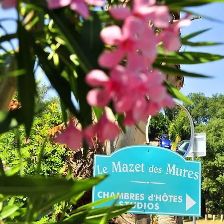 Les Du Mazet Des Mures גרימו